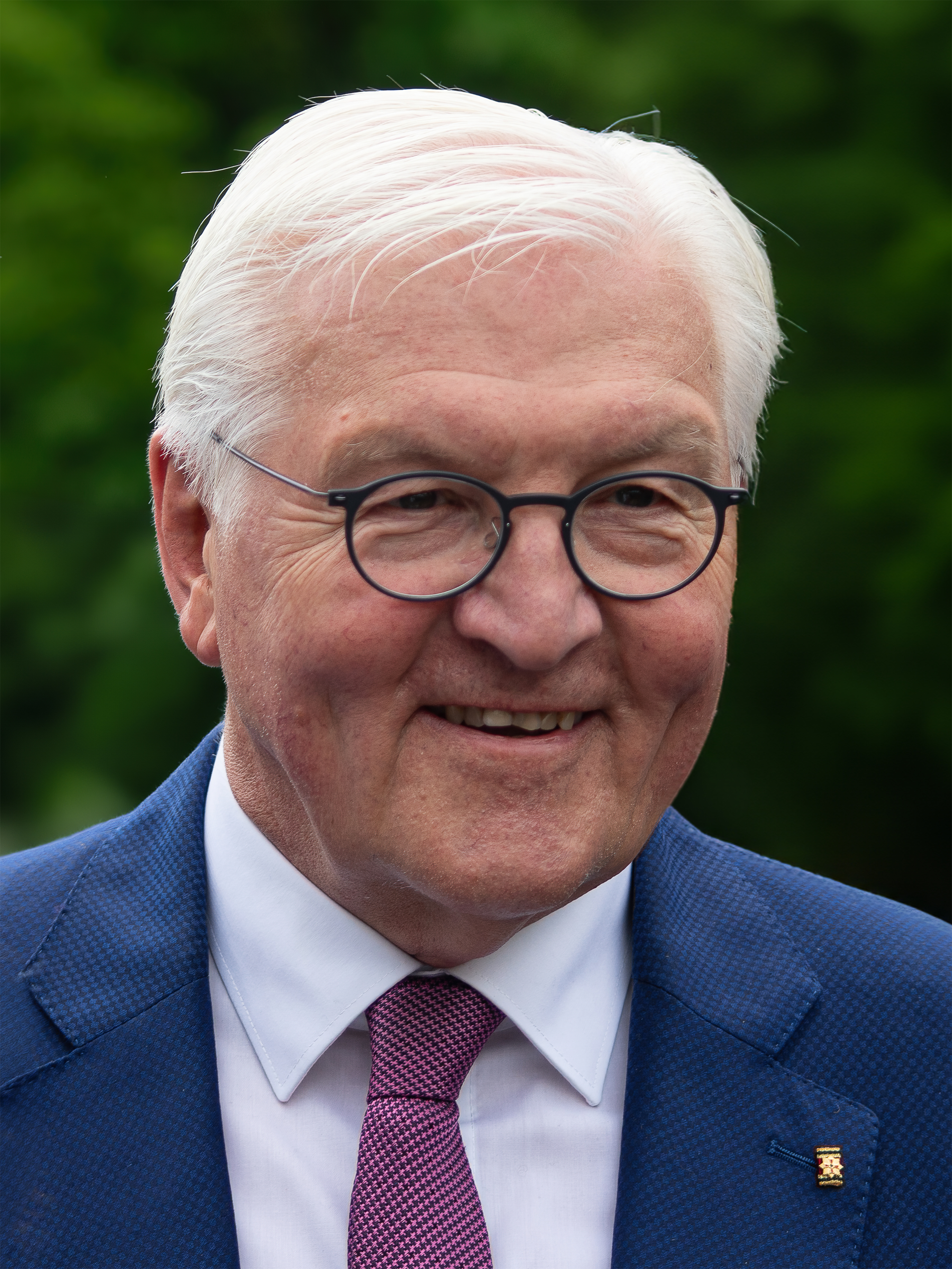 Frank Walter-Steinmeier photo