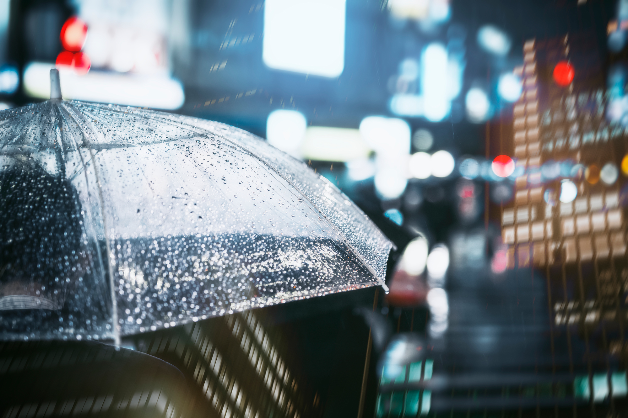 Rainy City Umbrella